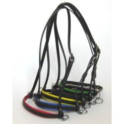 petit licol 3 anneaux racing tack au prix  juste sur equiracing .fr 