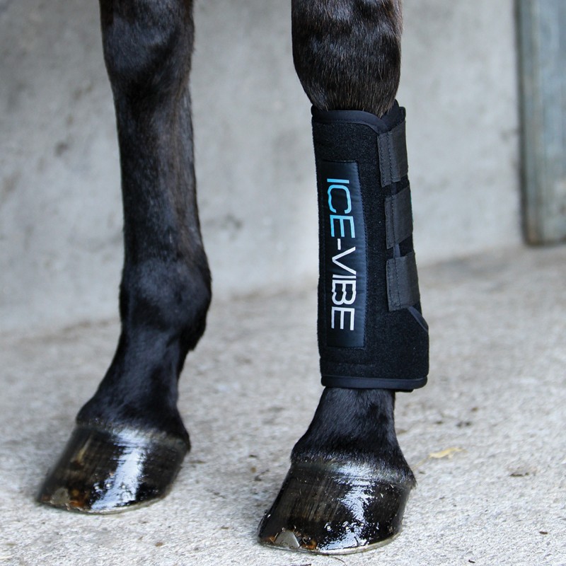 guetres de soins ice vibe au prix le plus juste sur equiracing.fr