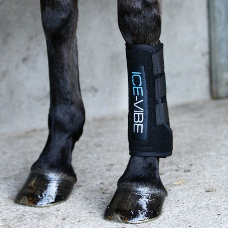 guetres de soins ice vibe au prix le plus juste sur equiracing.fr