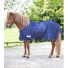 Broderie sur Chemise/Couverture/Couvre-reins