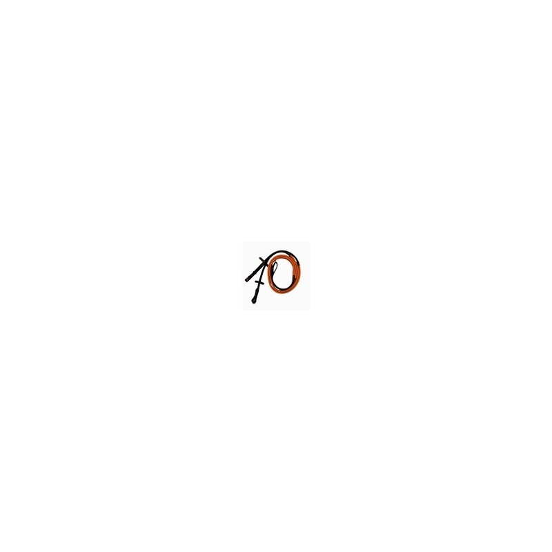 Rênes, Boucle Acier