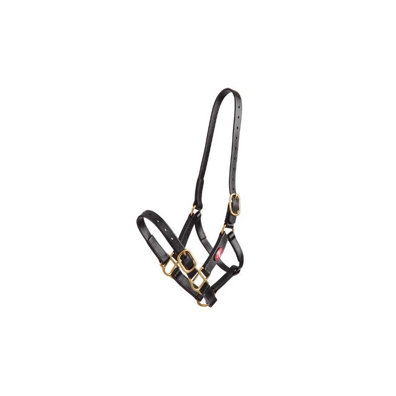 licol zilco l indestructible couleur  au juste prix sur equiracing.fr