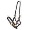 licol zilco l indestructible couleur  au juste prix sur equiracing.fr
