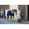 Mors droit cuir Poney