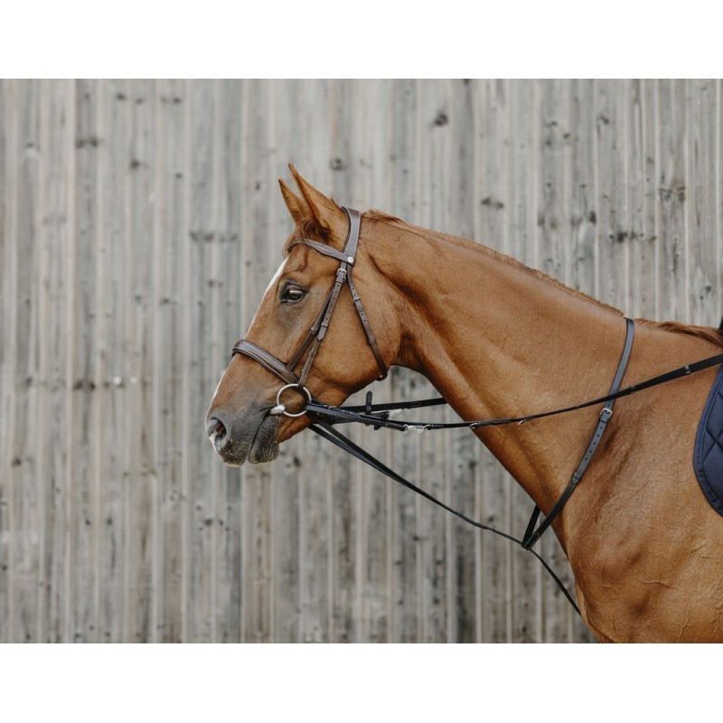 enrenement howlett ,tiedeman en cuir au prix  juste sur equiracing.fr