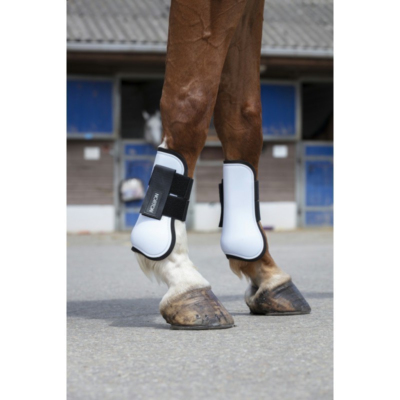 protege tendon a coque norton blanche  au juste prix sur equiracing.fr