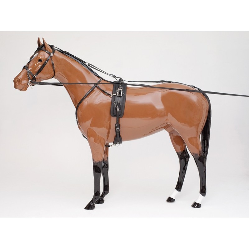Sellette W-EXTREME QH