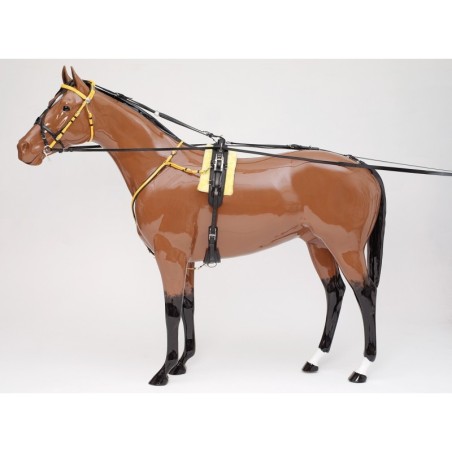 Sellette W-EXTREME QH