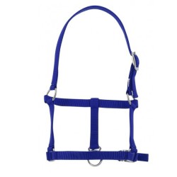 licol foal,poulain resistant au prix le plus juste sur equiracing.fr