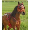 harnais complet course quick hitch poney au prix juste, equiracing.fr