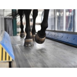 huile de tapis roulant  pour cheval au prix juste sur equiracing.fr