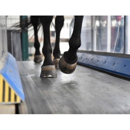 huile de tapis roulant  pour cheval au prix juste sur equiracing.fr