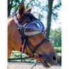 lunette cheval