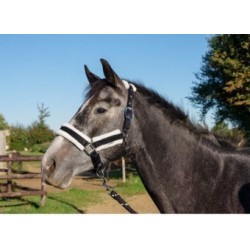 ensemble licol moton et longe  au juste prix sur equiracing.fr