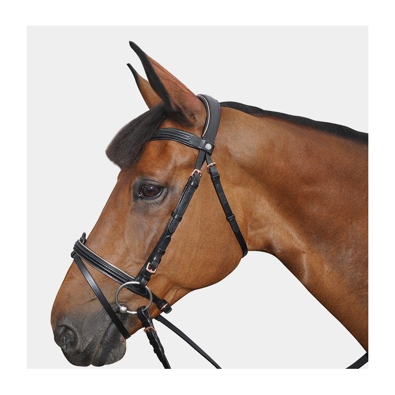 Bridon Cuir Complet Canter