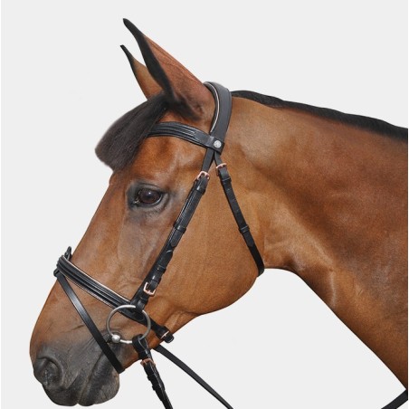 Bridon Cuir Complet Canter