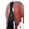 Protege queue pour mini poney  au prix le plus  juste ,equiracing.fr