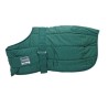 couverture de boxe mini , foal ,  au juste prix sur equiracing.fr 