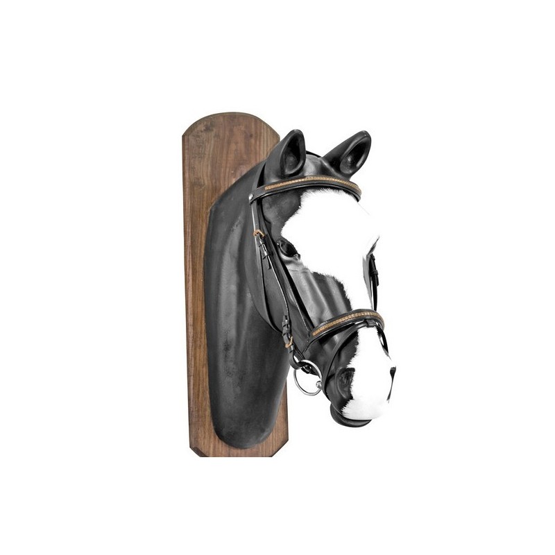 bridon complet pour mini,miniature au  juste prix sur equiracing.fr 