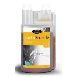 Lactomuscle at the right price on equiracing.fr 