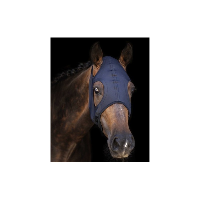 Wahlsten Titanium Hat at the right price on equiracing.fr 