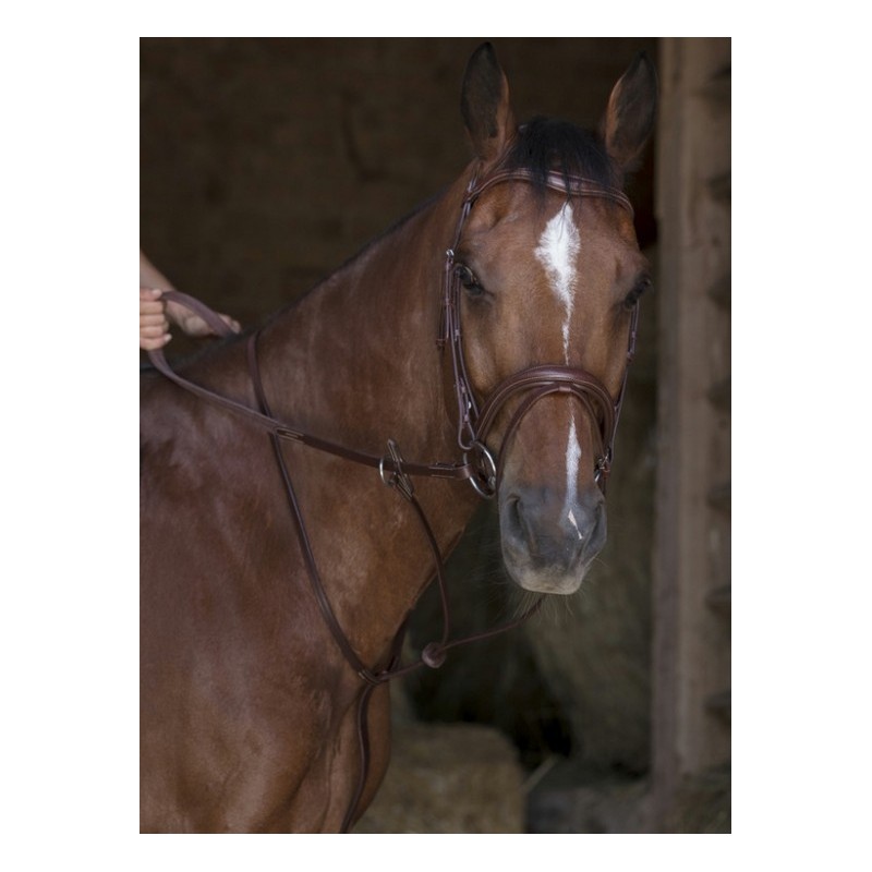 martingale anneaux cuir