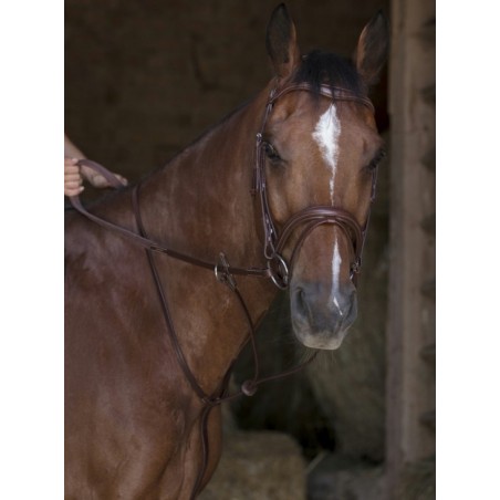 martingale anneaux cuir