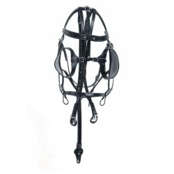 Racing Tack Open Blinker Bridle at the right price on equiracing.fr 