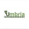 umbria equitazione